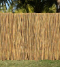 Canisse en bambou (rouleau de 5m)