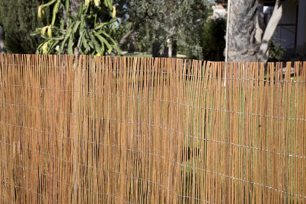 Canisse en osier naturel (rouleau de 5m)
