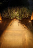 Borne lumineuse Oberon - 12V