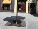 Grille d'arbre acier