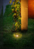 Spot Nomia 12V