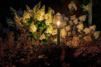 Borne lumineuse Eros - 12V