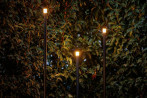 Borne lumineuse Erba - 12V