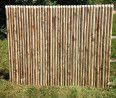 Panneau chataignier jointif Lg 185 cm