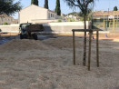 Installation des copeaux de bois pour la création d'un sol de sécurité amortissant dans une cour de récréation