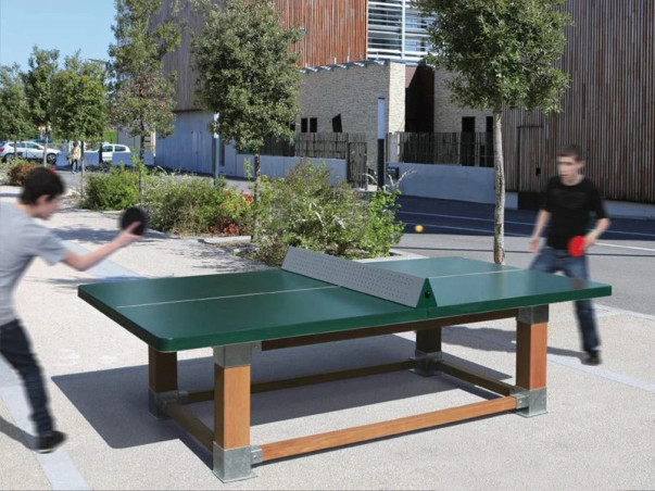Table Ping Pong Natura
