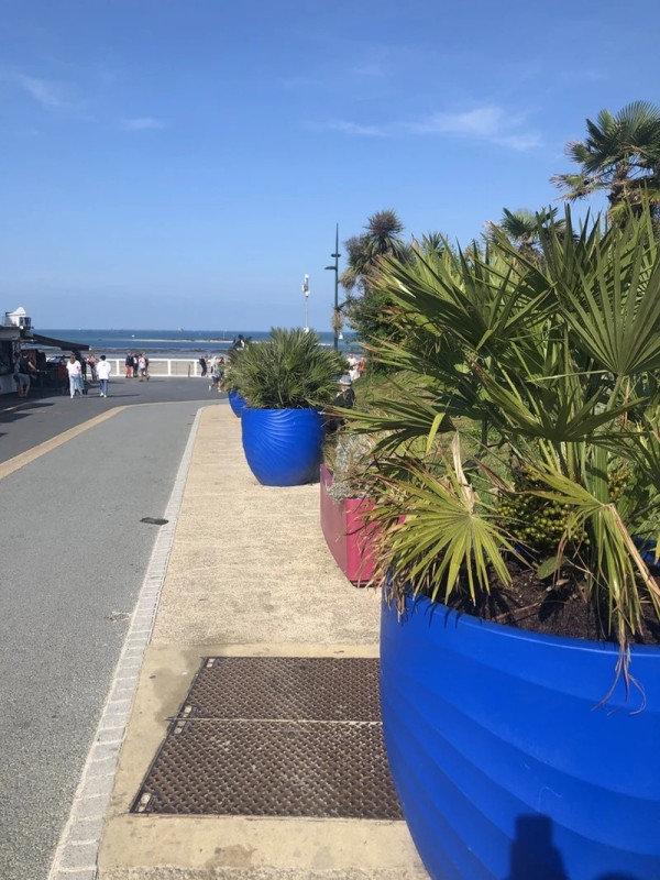 Pot DUNE