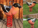 Jeu sur ressort réaliste en bois Clara l'oiseau