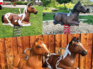 Jeu sur ressort réaliste en bois Roxy le cheval