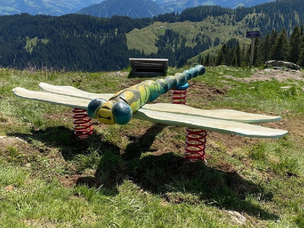 Jeu sur ressort réaliste en bois Luis la libellule