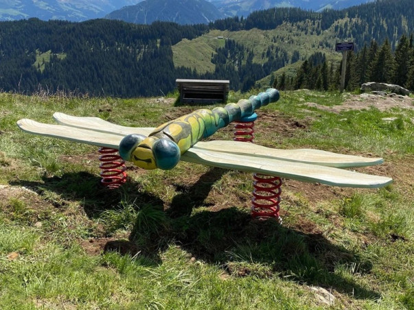 Jeu sur ressort réaliste en bois Luis la libellule