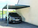Carport C150 mural