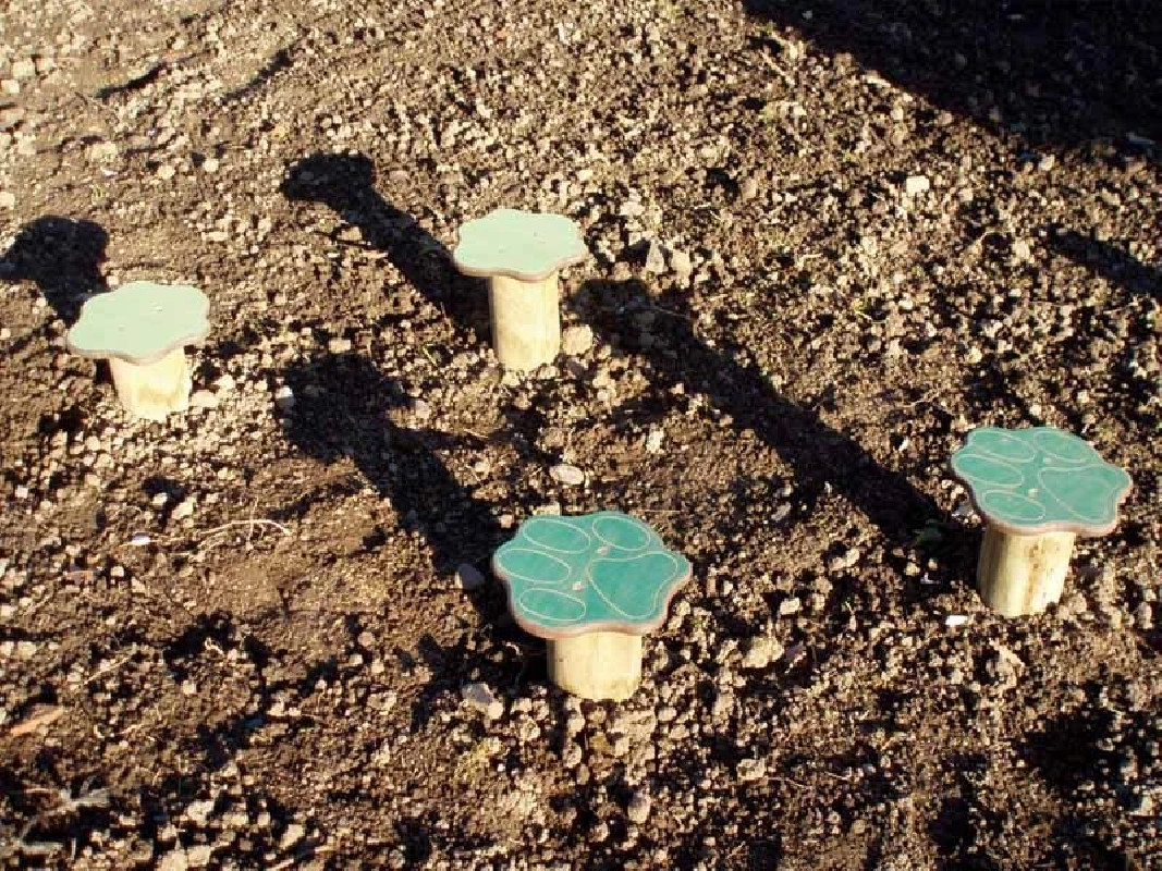 Circuit gymnastique - champignons