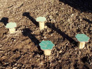 Circuit gymnastique - champignons