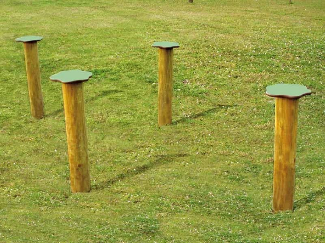 Circuit gymnastique - champignons de saut