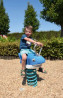 Jeu sur ressort Requin