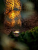 Spot Agate 12V