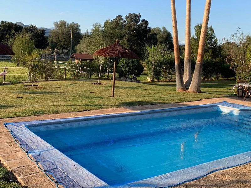 Piscine protégée par un filet anti-feuilles sans fixation